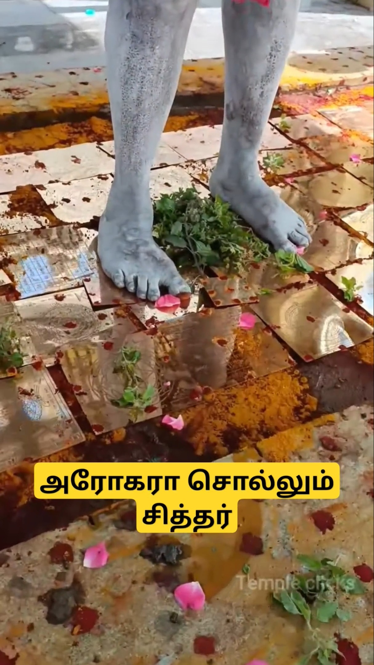 அனைத்து சாமி சிலைகளும் ஒரே இடத்தில் l மகாதேவமலை l சித்தர் அவர்களால் பிரதிஷ்டை செய்யப்பட்டது
